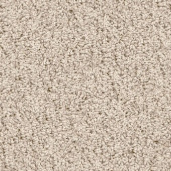 Shop for Carpet in Detroit, MI from Roman Floors & Remodeling
