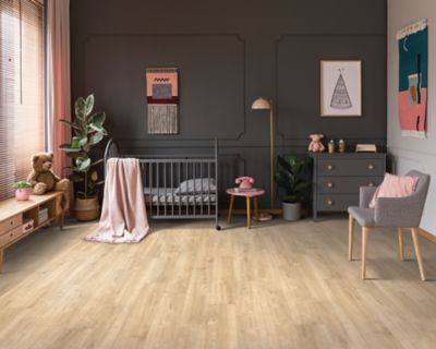Franklin Bangor 222